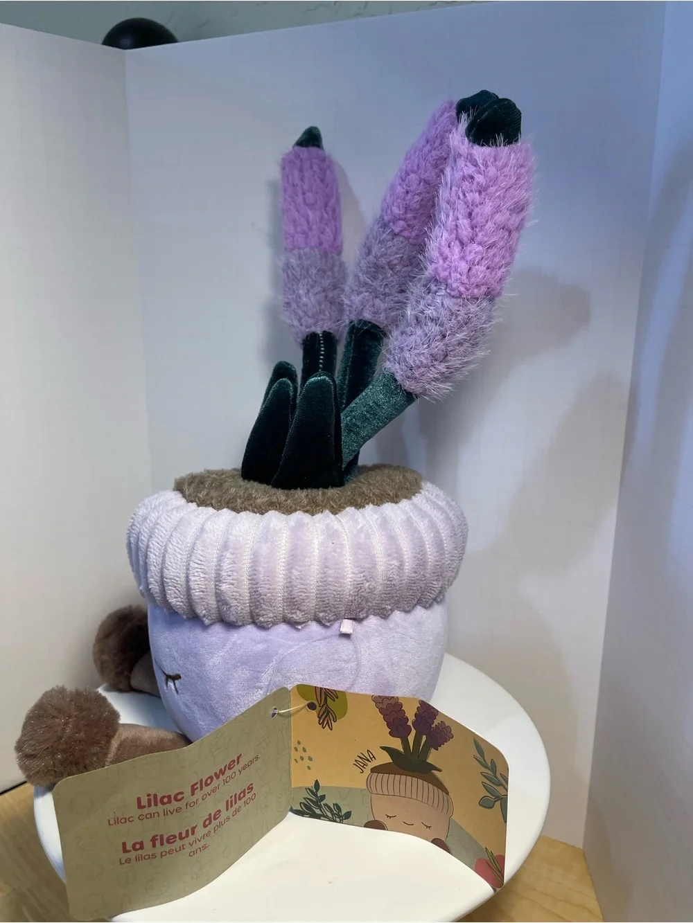 Greenhouse by Russ 12-Inch Purple Pot Lilac/Jana - NWT **